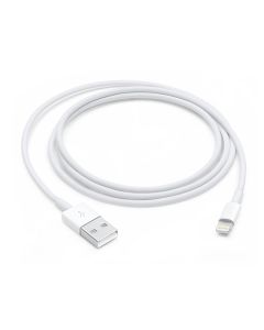 Apple Lightning to USB Cable - 1M