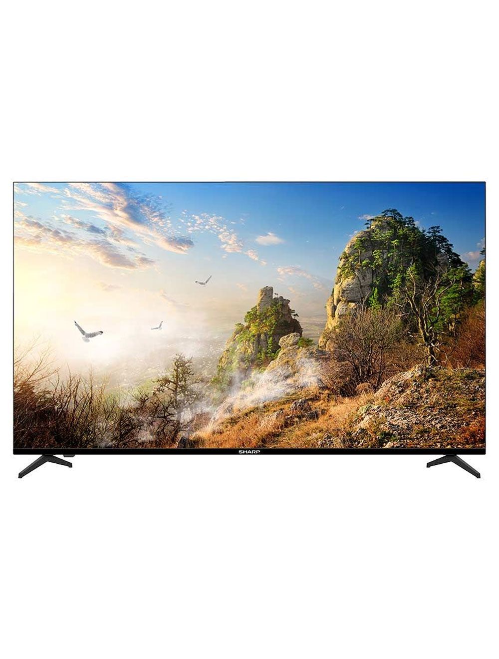 Sharp TV 65