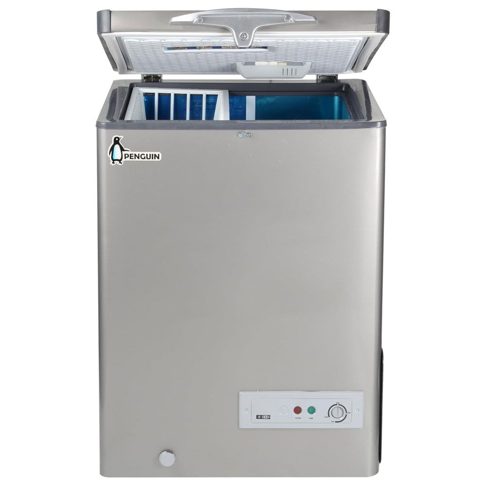 Penguin Chest Freezer Stainless Interior 160 Liter 81 Watts - Silver - ES171