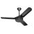 Buy Prifix Fouriera Ceiling Fan 40-inch - 3 Blades - 5 Speed - Black - CFF40 Now from 2B.. with best price!