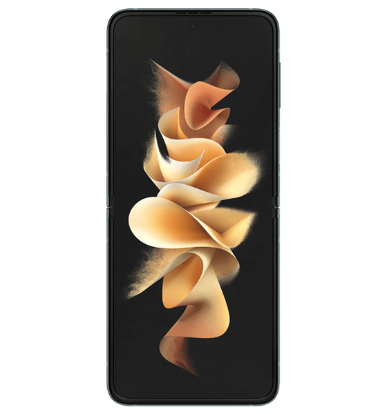 Z Flip3