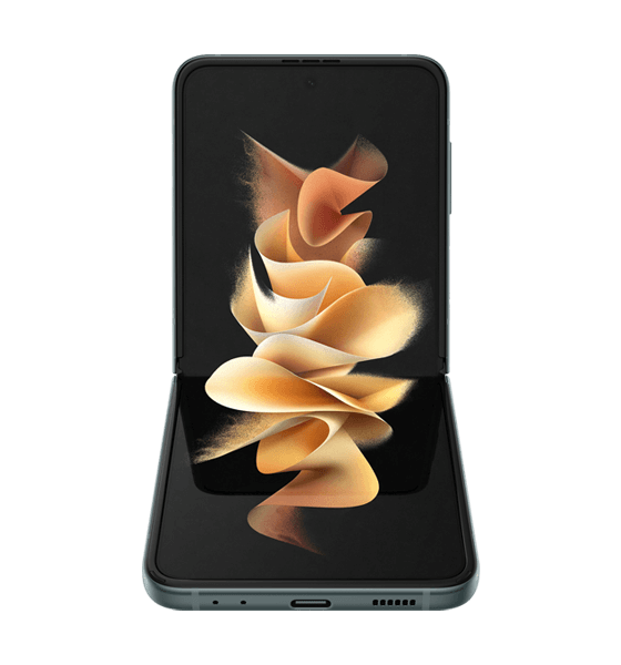 Z Flip3